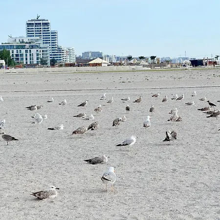 Your Escape To The דירה מאמאיה