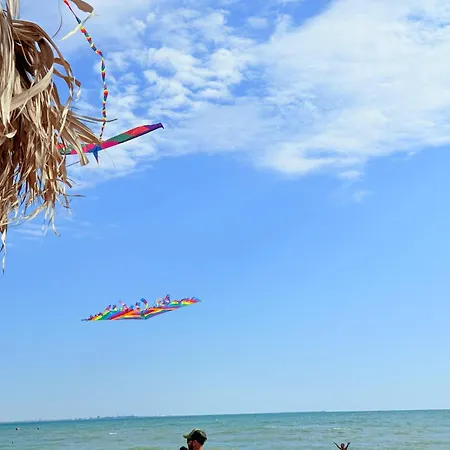 Your Escape To The * מאמאיה