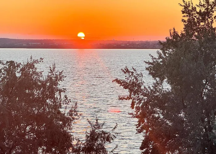 Your Escape To The דירה מאמאיה