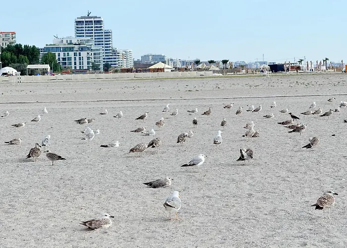 Your Escape To The דירה מאמאיה